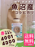 MY BABY���»������ҥ���:4001��4300g
