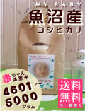 MY BABY���»������ҥ���:4601��5000g