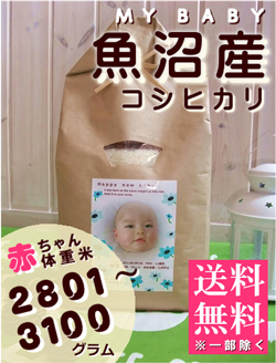 出産内祝い体重米 MY BABY魚沼:2801~3100g