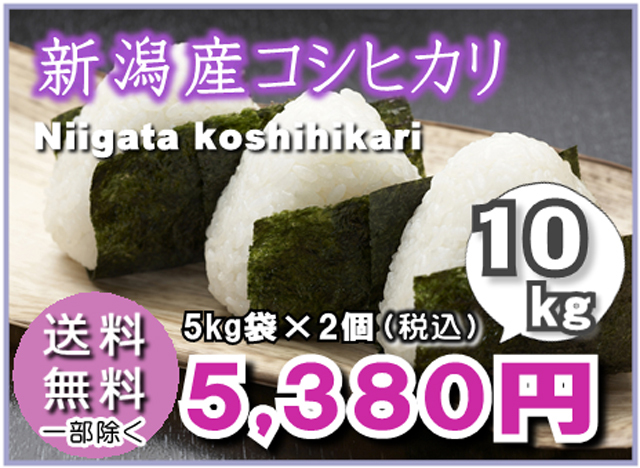 【送料無料】新潟産こしひかり5kg×2