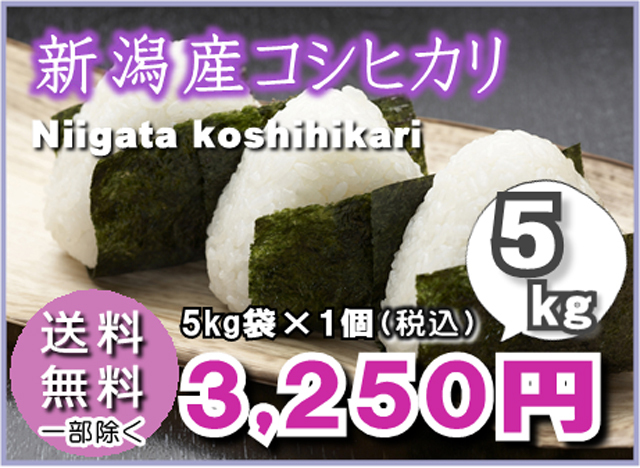 【送料無料】新潟産こしひかり5kg