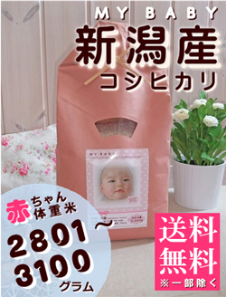 出産内祝い体重米 MY BABY新潟:2801～3100g