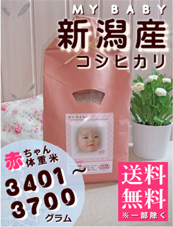 出産内祝い体重米 MY BABY新潟:3401～3700g